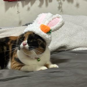 Meet your Posher, Anissa